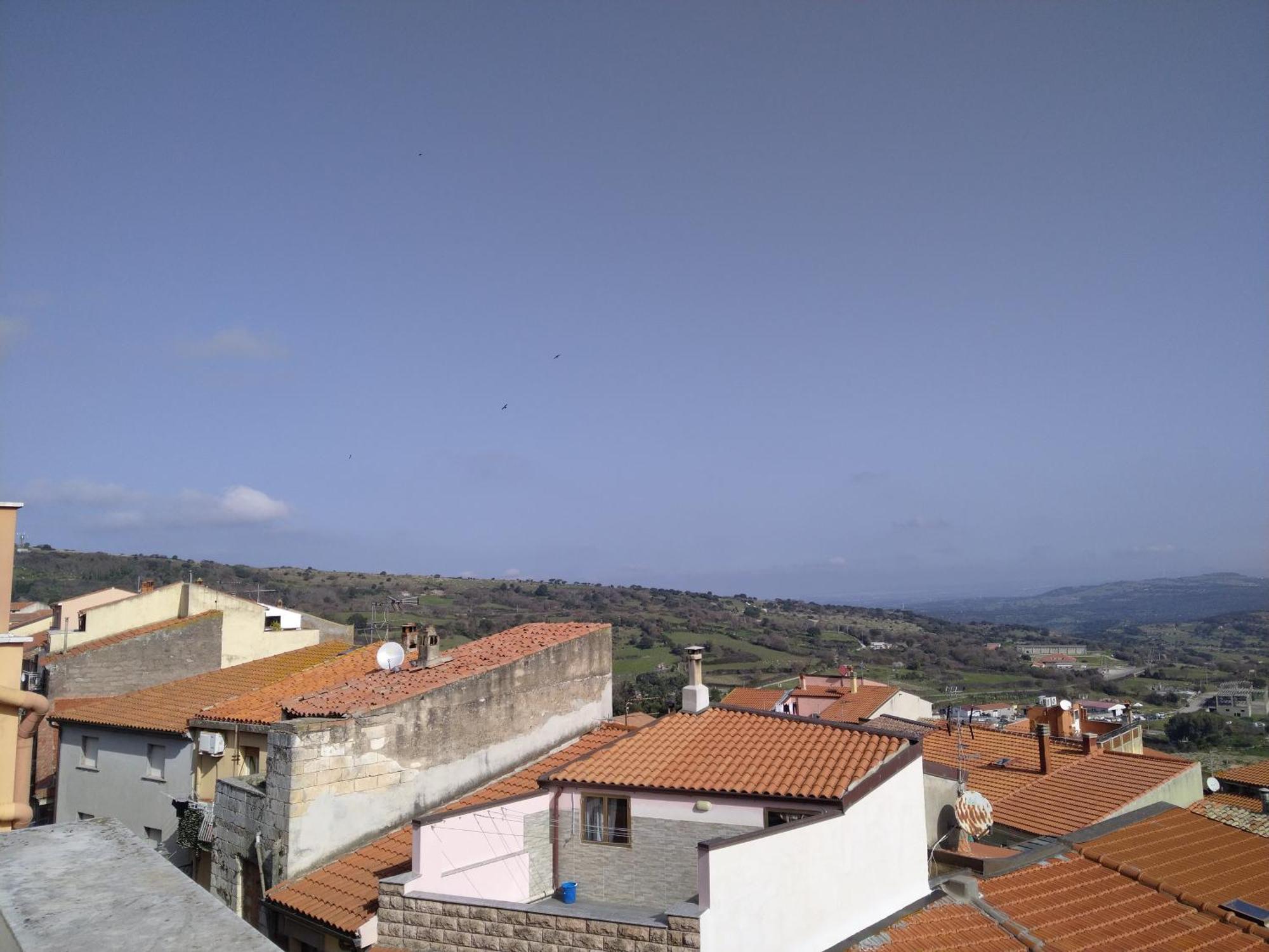 Sa Pruninca Bed & Breakfast Villanova Monteleone Bagian luar foto